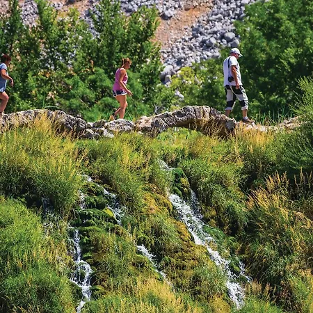 Lovely In Karin Gornji